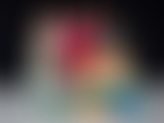 Everyone Belongs! Highlights from Harmony Week 2024