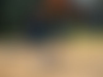 Great Achievements in SCS Representative Sport