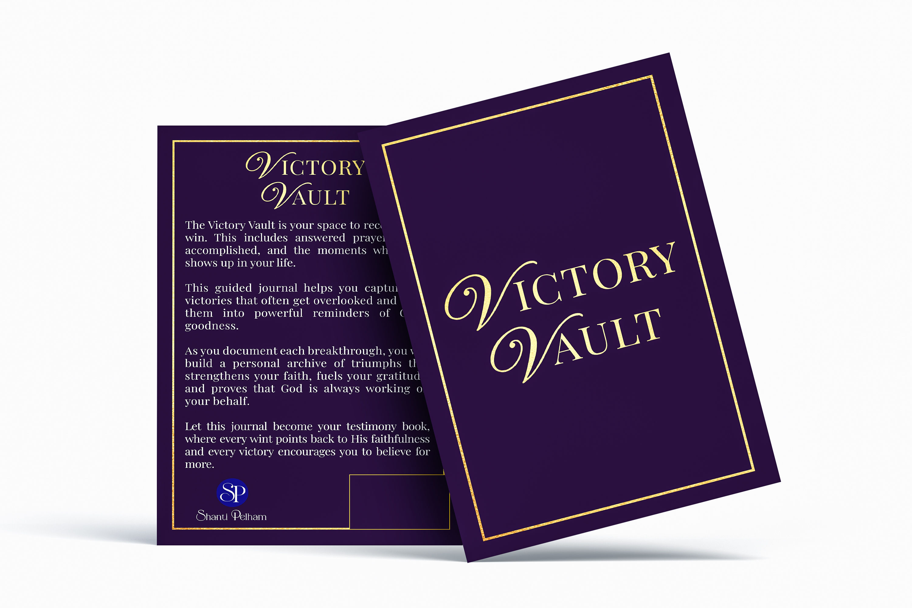 The CEO's Workbook and Victory Vault Bundle