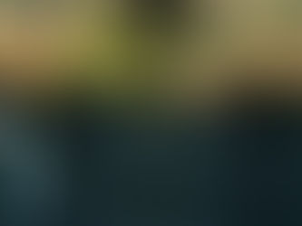 Interviews mit Mitarbeitende