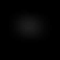 Interviews mit Mitarbeitende