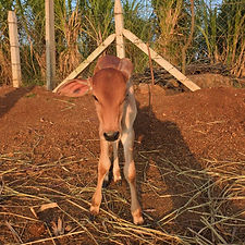 3319609e-8417-42d2-8242-1b1a68ea06c9