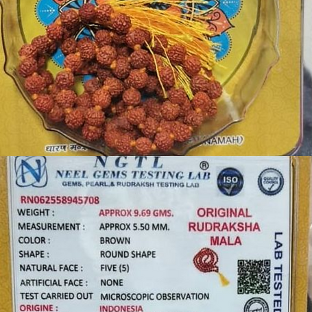 Rudraksha.png