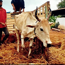 c12ceabf-8ec1-4eec-86ad-aa3da0f8f1a9