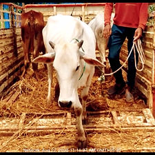 2fe8f277-57ae-4b7c-abb9-4de33441fa3d