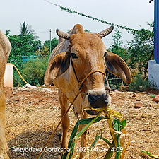 ff123675-5c3f-4a61-ac2b-15932b0124e6