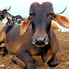 a58b1172-958a-4970-b7c1-0dcf9006a37f