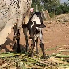 34f5b3ba-7544-4a59-8cf6-b766d353c0ca