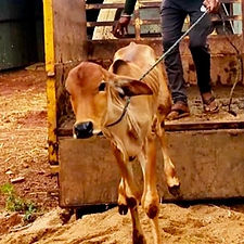 7c5a9a7e-f5bb-4a4a-984a-238ca99a42d5