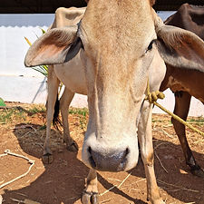 b336f34d-f371-486e-b9f2-2c097f9a47b6