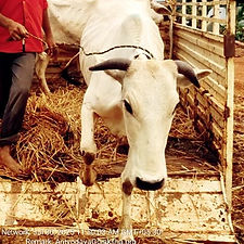 a1b1eb1c-e303-41be-a435-7c31afaa0e27