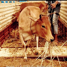 53d92161-f76a-4168-bc30-294bc8442807