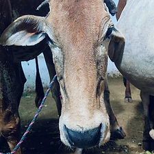 d98ebb09-01f4-4c6c-a07e-af55bc4d96e5