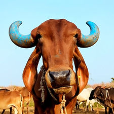 f4eb1898-7d5d-4b5c-af1e-a4ef62532318