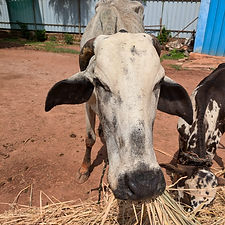 1dc684b3-4add-4a3f-a37a-d1205be39bf8