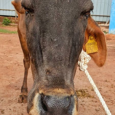 93211342-6d17-4085-880d-965a3d26cca5