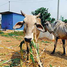 565aed63-33f6-4b44-b644-6f2669dba011