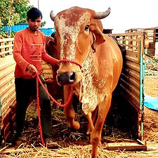 ef10b62a-8868-443f-9b5e-f47e49168129