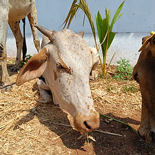 7794ee6f-cc06-46c8-a64c-f01e8ea2093c