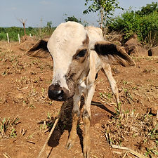 78ea7d60-f81e-4263-a516-2a02b794c7eb