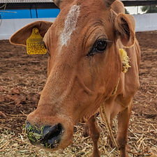 e758bf34-51ad-4711-89a5-dc832b132915