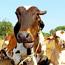 10528d5d-48f1-4e72-9f98-706773957000