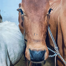 91c87ee3-5023-4f2d-869c-11b32f998666