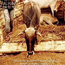 417b3635-1453-40d4-808b-2bf73604692f