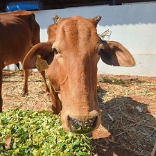 318f7dee-6b0e-4c5b-8677-61623843c667