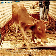 5426691f-7f82-4d40-923a-5c18e0f5db23