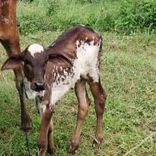 8b7b57e2-b3ec-4d98-a70e-930d8b271b73