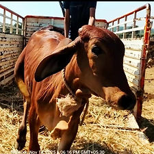 71bf585d-1c3f-4267-9bb4-442912b72271