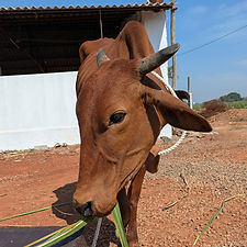 764a9511-b273-4d7d-91e7-cca052589c13