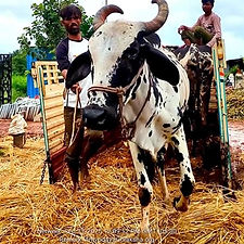 8f700b86-5f2e-4674-ba13-686dadc99f8b