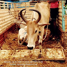 ba75f759-898e-4479-89da-f17e444edb5d