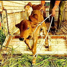 efd41f50-bca3-48b7-9255-166775078e49