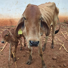 99b1c3fe-d925-46b2-9ccd-5d4f2f983727