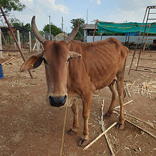 793b5814-6eda-4fc8-83b9-846eca4dbc77