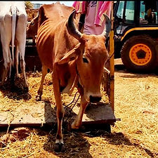 0cdd3b1f-4ae1-4063-bf6a-b3b3c1df4b2d