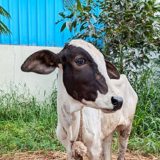 b11dad07-7d9d-428a-a566-eccb3b994505