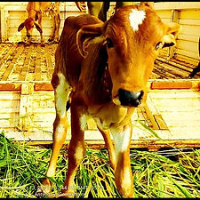 8060c5d7-f4a5-478d-ab99-bc16d5a16be2