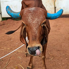 3eb56125-3ab9-4e41-83fd-b24f8c9d9382