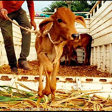 4833f90b-88cf-4511-9c04-2782e0ff87ba