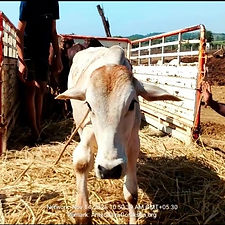 cfc2fb78-6bf4-4fc3-9851-ff84353afe8f