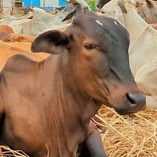 db1b7a5a-afbe-49ea-8739-941baf3cb007