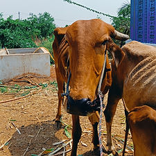 f78775b8-4c18-4b85-b8d1-cc709c8d4ff4