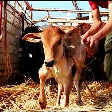 14100d55-6926-4ca2-9657-7271292d027f