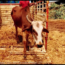 a0b2af7b-7ede-4ed8-aa88-b9af2f014b63