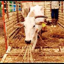 2aa8845d-789f-4c97-b4f7-d5728db78645