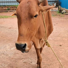 131488ea-ca2d-45e7-b6ed-c9373952705d